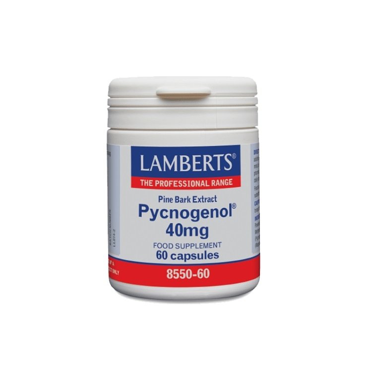 Lamberts Pycnogenol 40mg (Τιτλοδοτημένο Εκχύλισμα Pine Bark) 60caps