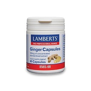 Lamberts Ginger Capsules (Τιτλοδοτημένο & Συμπυκνωμένο Εκχύλισμα Πιπερόριζας) 120mg 60caps