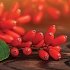 Olonea Berbemax Berberine Complex για Μεταβολική Ισορροπία 30 Κάψουλες