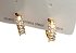 Inoplus Σκουλαρίκι Gold Plated Con Zirconias Από Ανοξείδωτο Ατσάλι ART D5879C350-1